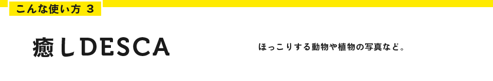 こんな使い方３　癒しDESCA　ほっこりする動物や植物の写真など。